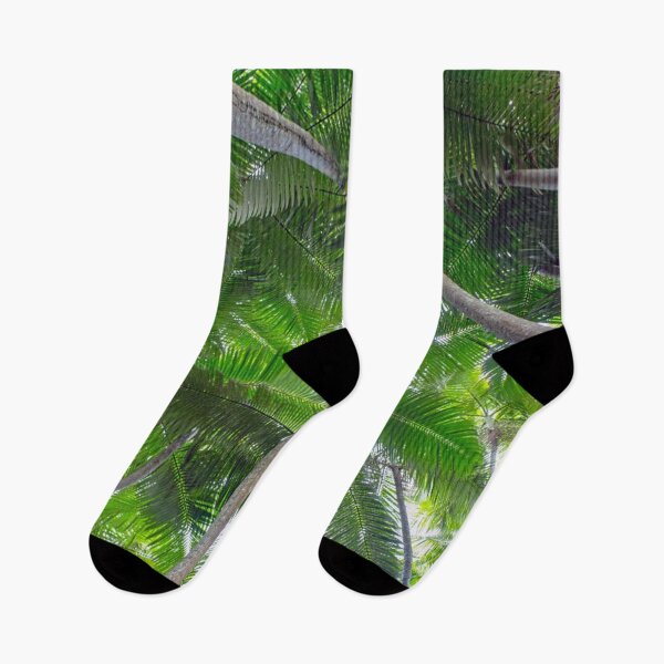 Item preview, Looking up through Palm Trees designed and sold by IMPHives.