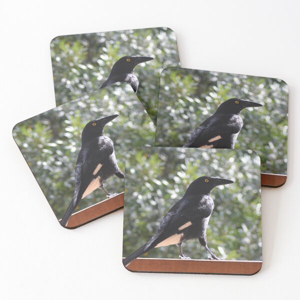 Item preview, A currawong standing on a fence.A currawong standing on a fence. designed and sold by EAnneH.