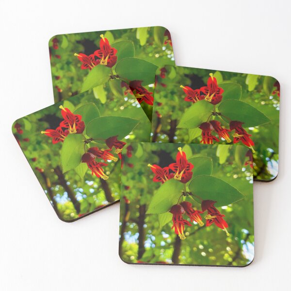 Item preview, flowers hanging from a tree photograph designed and sold by StarDust127.