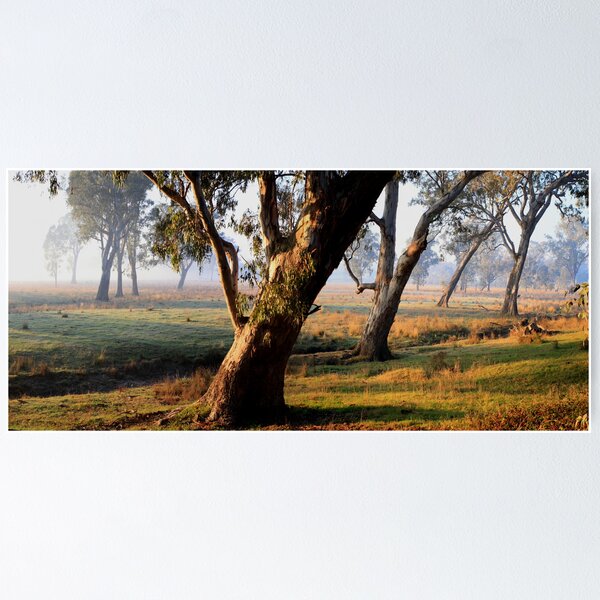 Item preview, Redgum Dawn designed and sold by Donovan Wilson.