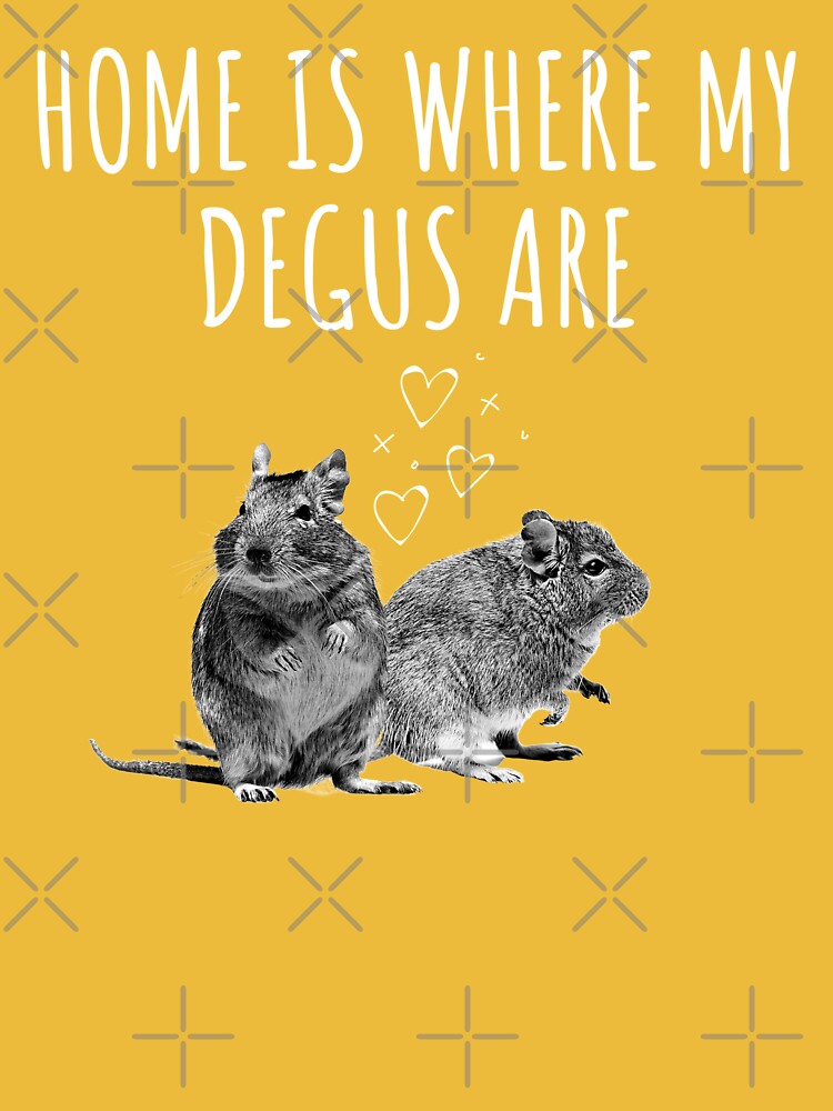 Home Is Where My Degus Are Adorable and Playful Degu