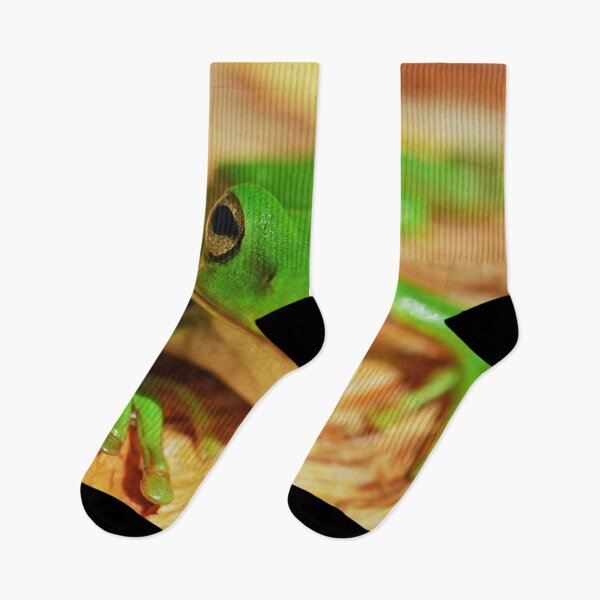 Item preview, Green Tree Frog Looking At You! designed and sold by IMPHives.