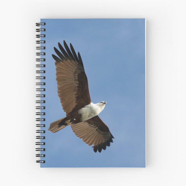 Item preview, Looking Skywards designed and sold by byronbackyard.