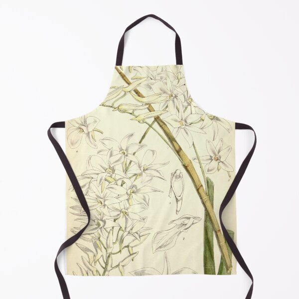 Item preview, Dendrobium barbatulum designed and sold by EsotericBotanic.
