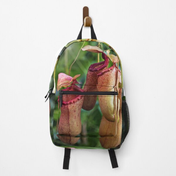 Item preview, Carnivorous Hanging Pitcher Plant Nepenthes designed and sold by IMPHives.