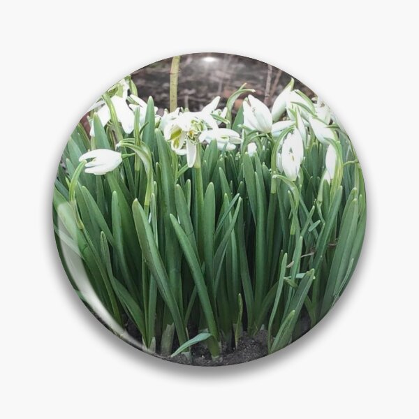 Item preview, Early Spring Snow drop Flowers designed and sold by FlowersAndMore.