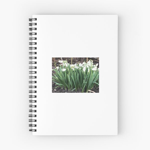Item preview, Early Spring Snow drop Flowers designed and sold by FlowersAndMore.