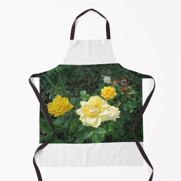 Item preview, Pretty Yellow Rose Flowers designed and sold by FlowersAndMore.