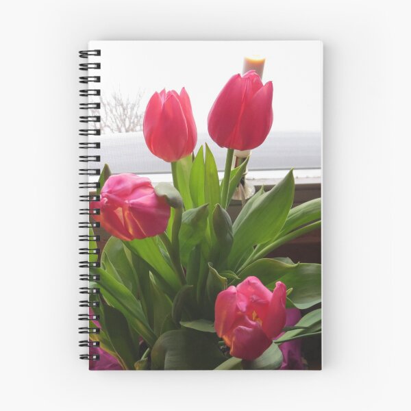 Item preview, Dazzling Pink Tulip Flowers designed and sold by FlowersAndMore.