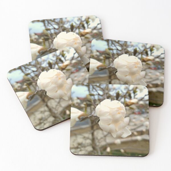 Item preview, New Bloom on a Yulan Magnolia designed and sold by Mothe3rd.