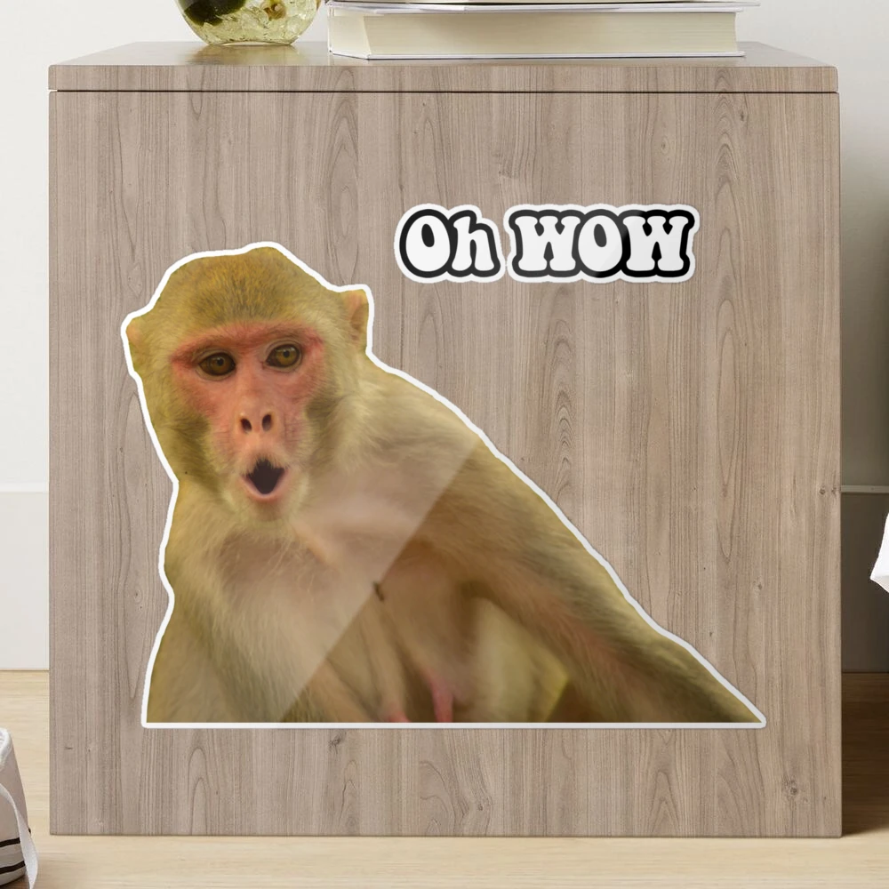 Funny Animal Stickers: And the monkey goes...OH WOW