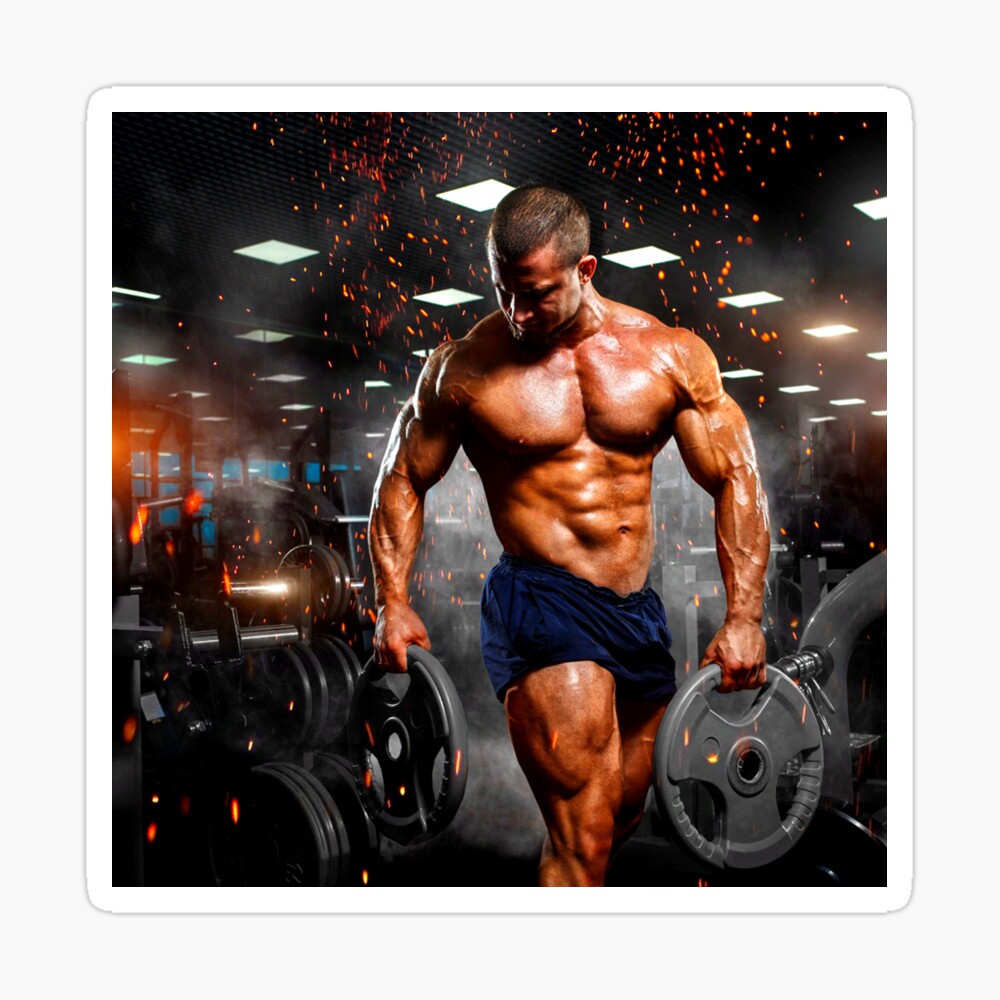 Pin by Bradano de Jenarro on Health & Fitness  Ripped workout,  Bodybuilding, Fitness motivation