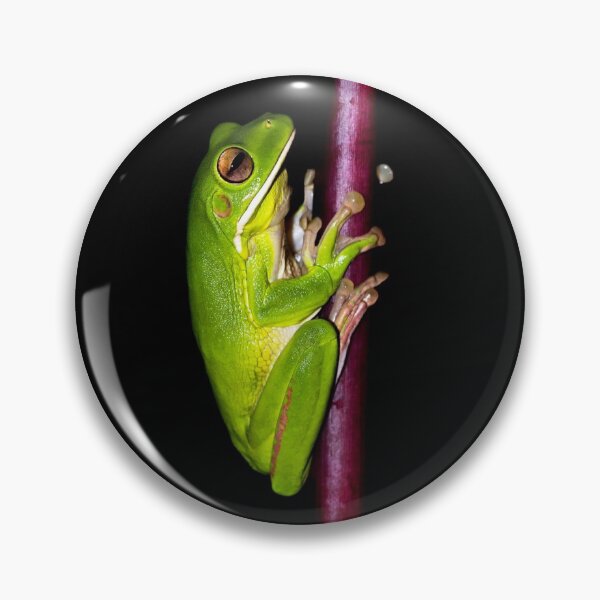 Item preview, Green Tree Frog designed and sold by IMPHives.