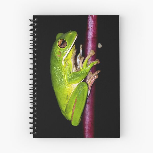 Item preview, Green Tree Frog designed and sold by IMPHives.