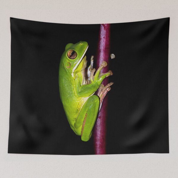 Item preview, Green Tree Frog designed and sold by IMPHives.