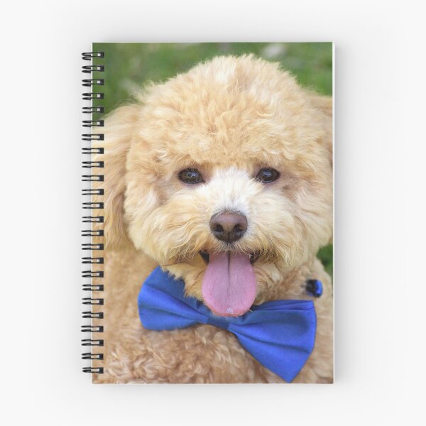 Item preview, The Birthday Boy designed and sold by Tiffany Dryburgh.
