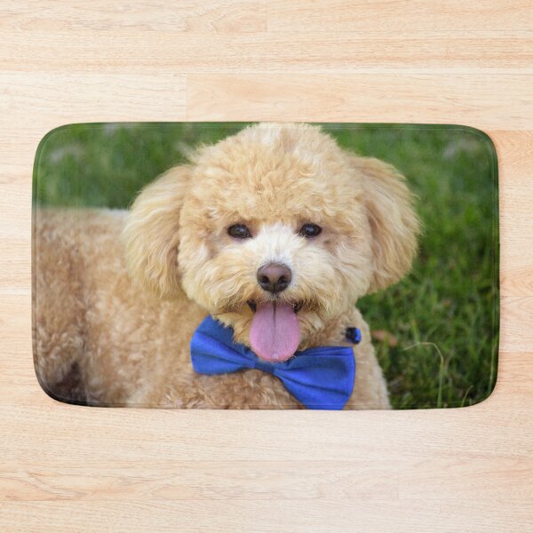 Item preview, The Birthday Boy designed and sold by Tiffany Dryburgh.