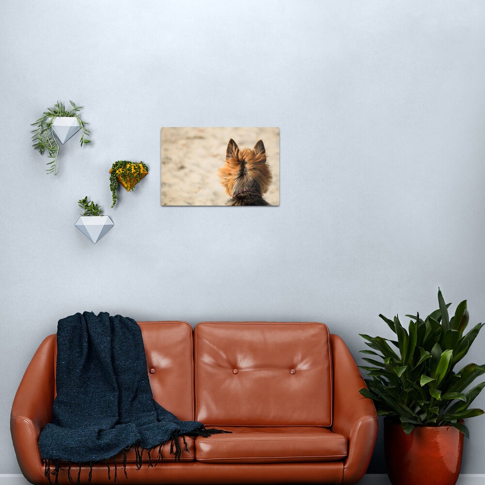 On the Look Out Metal Print