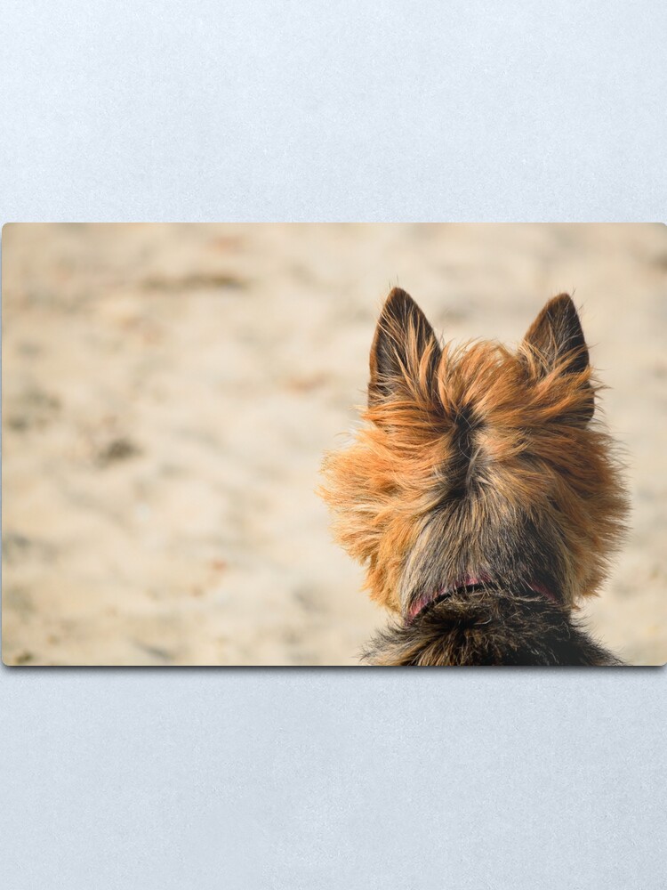 Alternate view of On the Look Out Metal Print