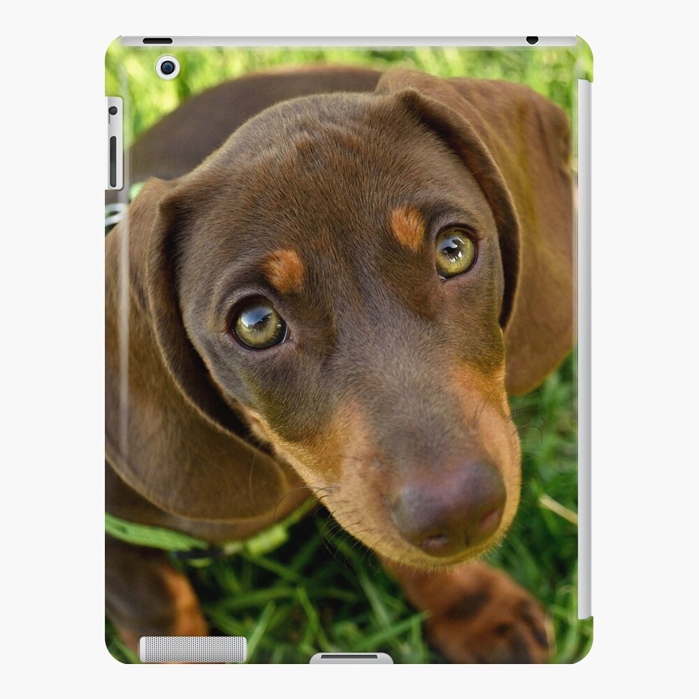 Item preview, iPad Snap Case designed and sold by Tiffany.
