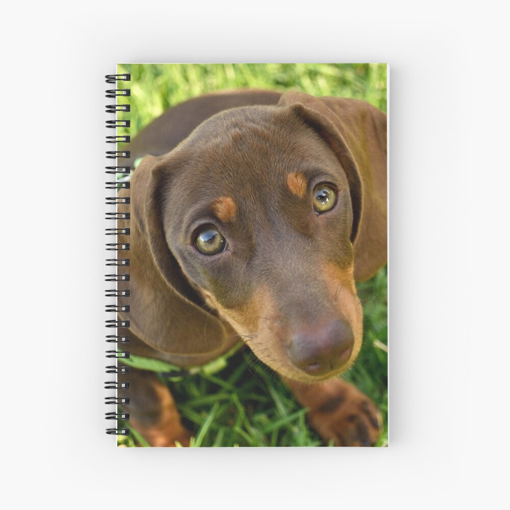 Item preview, Spiral Notebook designed and sold by Tiffany.