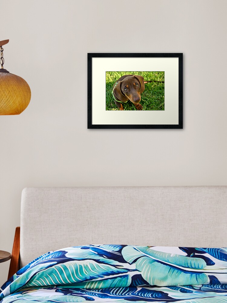 Framed Art Print, Puppy Face! designed and sold by Tiffany Dryburgh