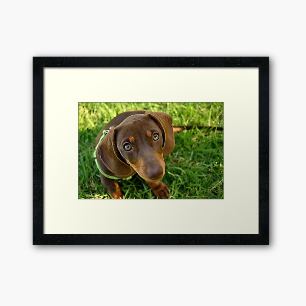 Framed Art Print