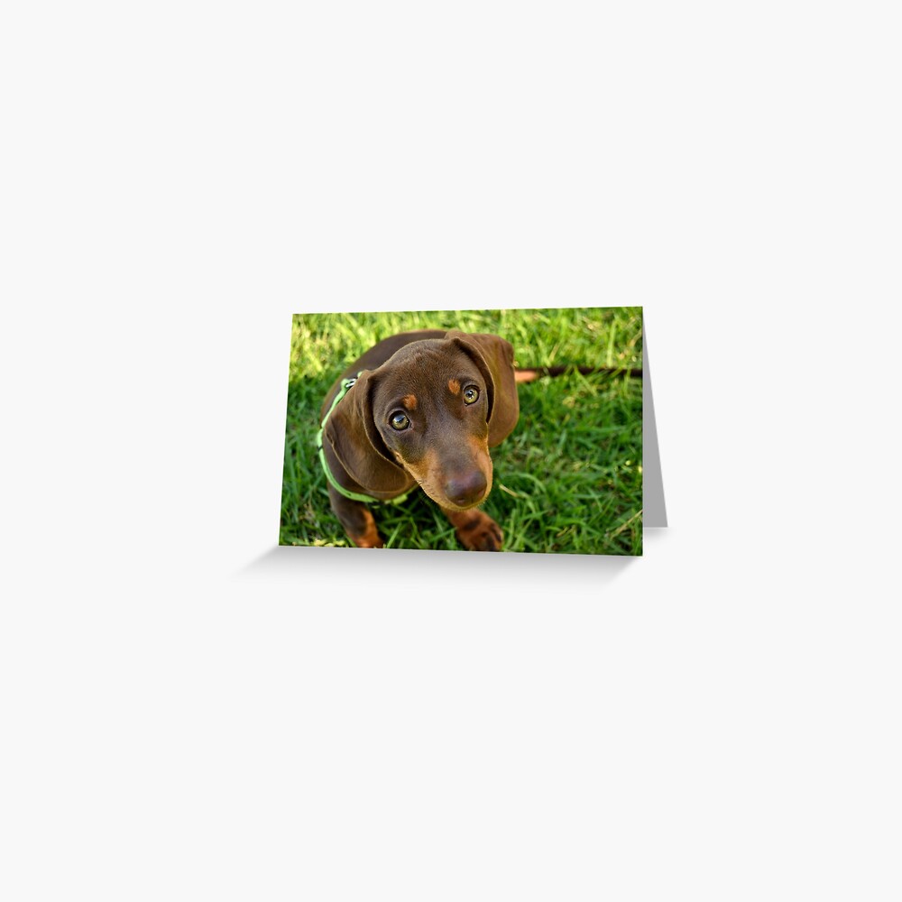 Item preview, Greeting Card designed and sold by Tiffany.