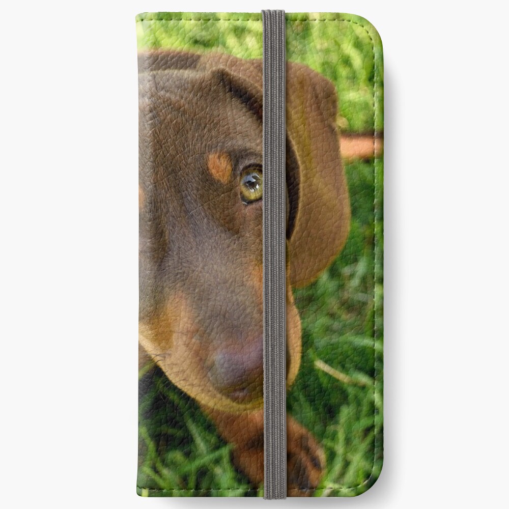 Item preview, iPhone Wallet designed and sold by Tiffany.