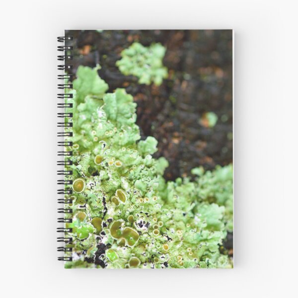 Item preview, A Liking for Lichen designed and sold by Tiffany Dryburgh.