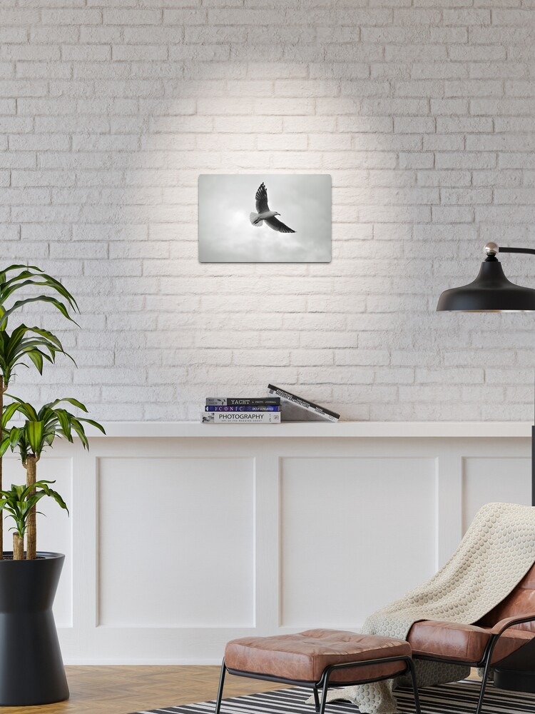 Thumbnail 1 of 4, Metal Print, Soaring designed and sold by Tiffany Dryburgh.