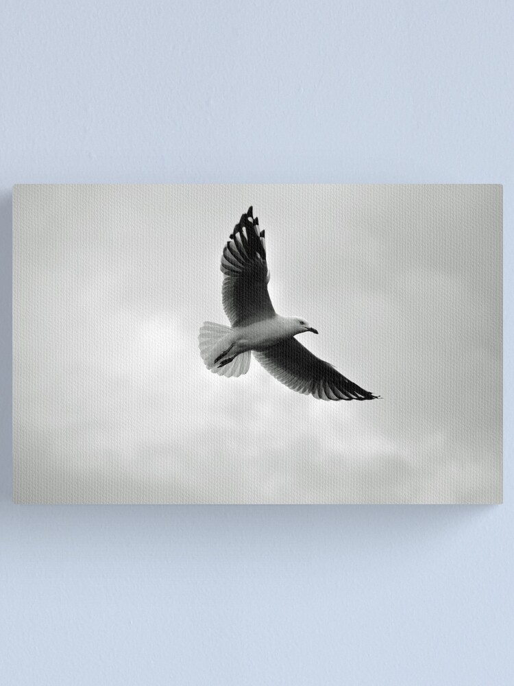 Thumbnail 2 of 3, Canvas Print, Soaring designed and sold by Tiffany Dryburgh.