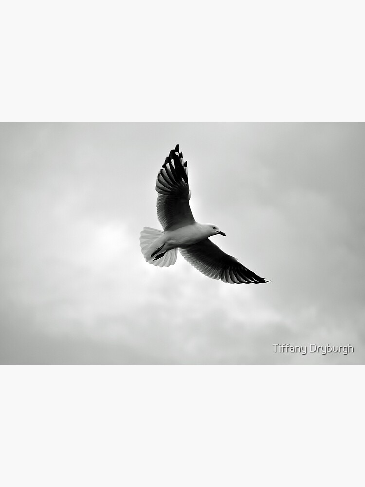 Thumbnail 4 of 4, Metal Print, Soaring designed and sold by Tiffany Dryburgh.