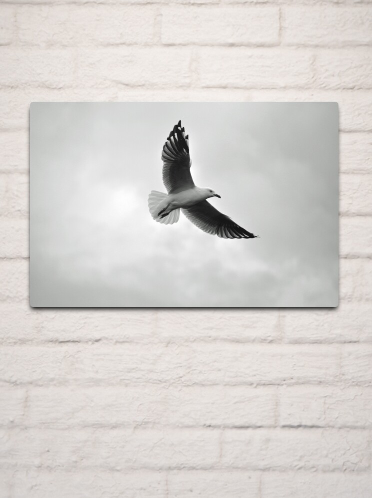 Thumbnail 2 of 4, Metal Print, Soaring designed and sold by Tiffany Dryburgh.