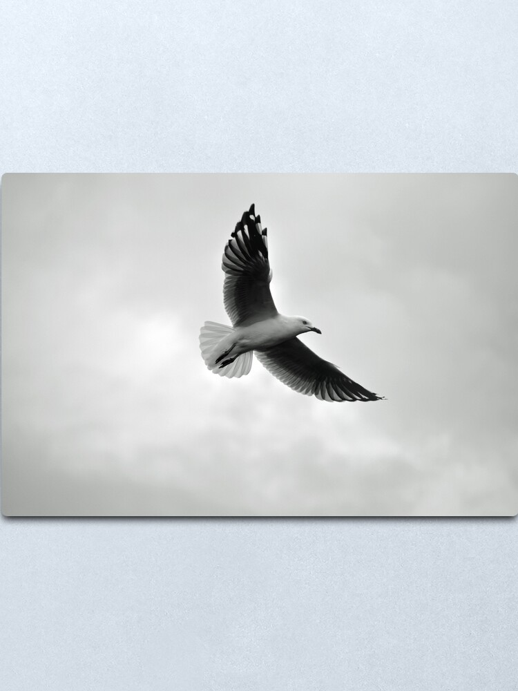 Alternate view of Soaring Metal Print