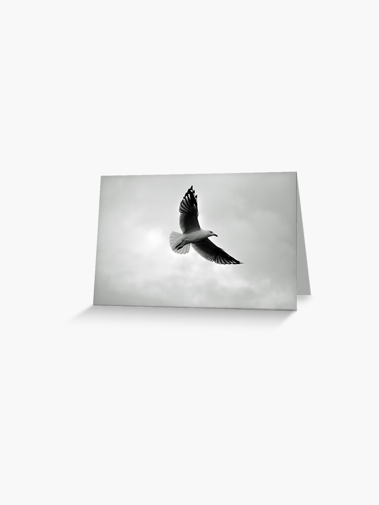 Thumbnail 1 of 2, Greeting Card, Soaring designed and sold by Tiffany.