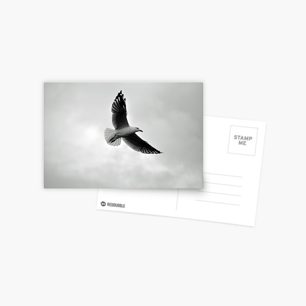 Item preview, Postcard designed and sold by Tiffany.