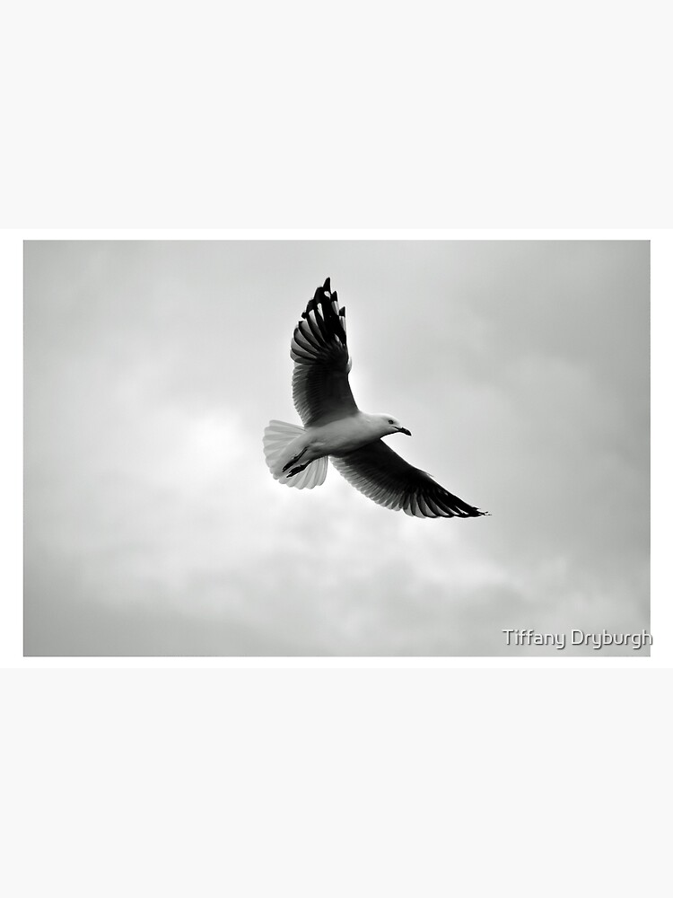 Thumbnail 2 of 2, Laptop Skin, Soaring designed and sold by Tiffany.