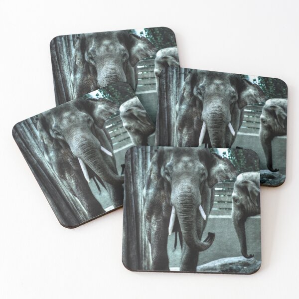 Item preview, Elephant II designed and sold by Blackadder Photography.