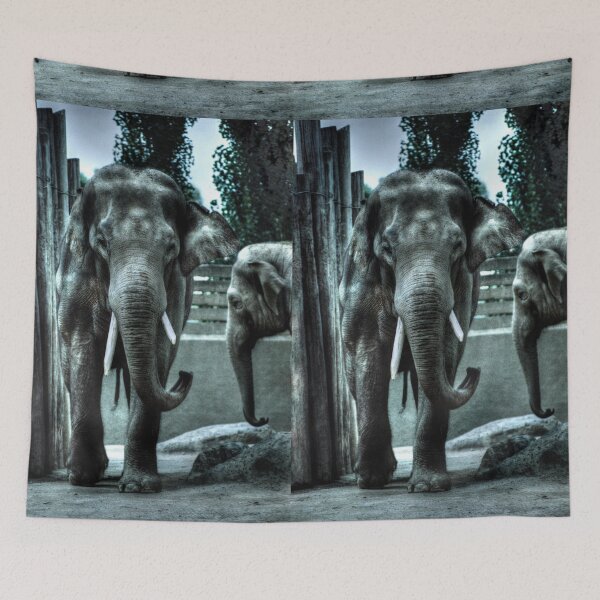 Item preview, Elephant II designed and sold by Blackadder Photography.