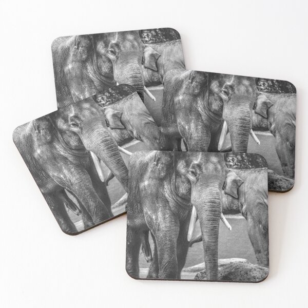 Item preview, Elephant III designed and sold by Blackadder Photography.
