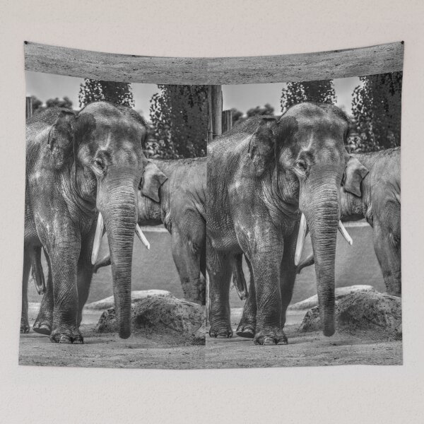 Item preview, Elephant III designed and sold by Blackadder Photography.