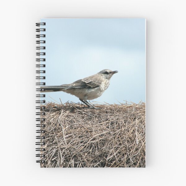 Item preview, Bird on a Grass Roof designed and sold by rhamm.