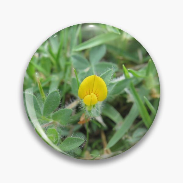 Item preview, Yellow trefoil flower designed and sold by greentiger1.