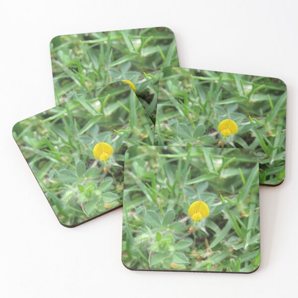 Item preview, Yellow trefoil flower designed and sold by greentiger1.