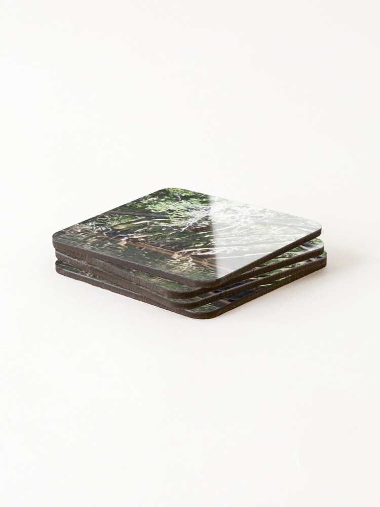 Thumbnail 4 of 5, Coasters (Set of 4), Kin Kin Creek 1 designed and sold by Redpopy.