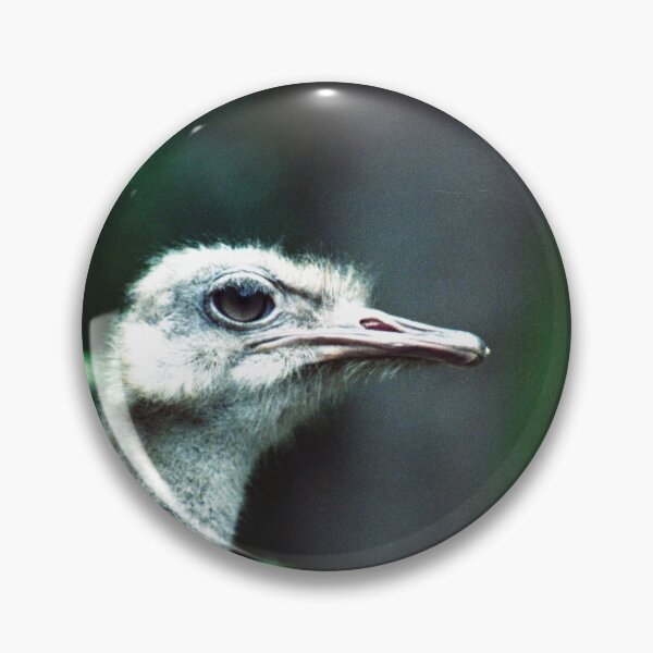 Item preview, Emu enojado designed and sold by Blackadder Photography.
