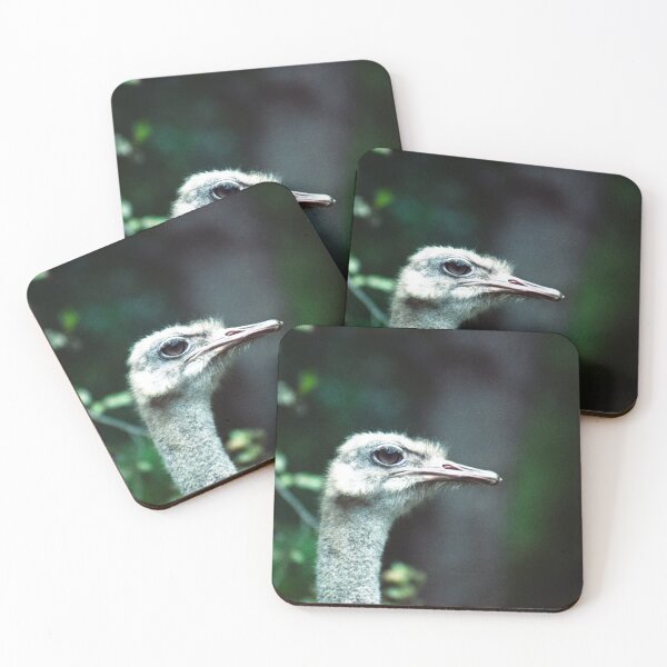 Item preview, Angry Emu designed and sold by Blackadder Photography.