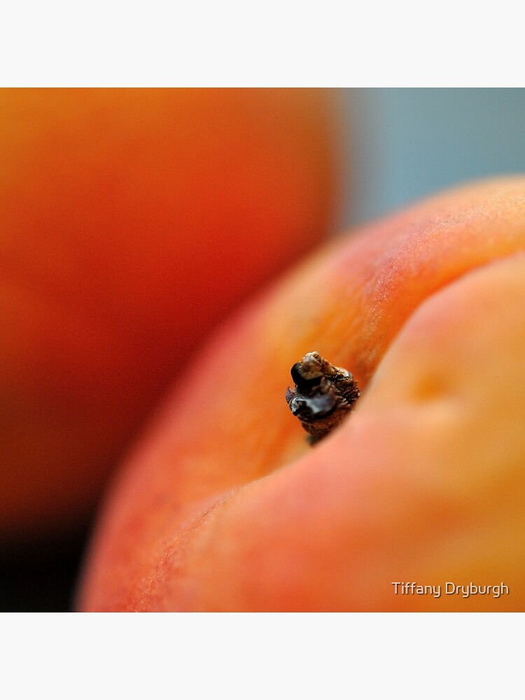 Peachy by Tiffany