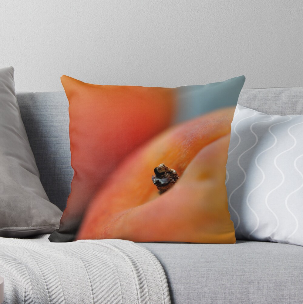 Peachy Throw Pillow